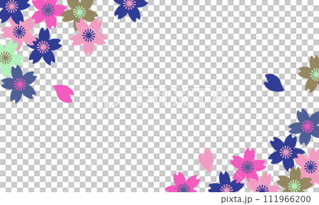 Decorative frame of cherry blossoms and cherry blossom petals 111966200