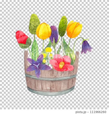 Wooden bucket with flowers from the garden. Spring botanical composition for Easter. Watercolor simple illustration. Seasonal decoration with tulips, thistles and bluebells. Hand drawn isolated art. 111966260