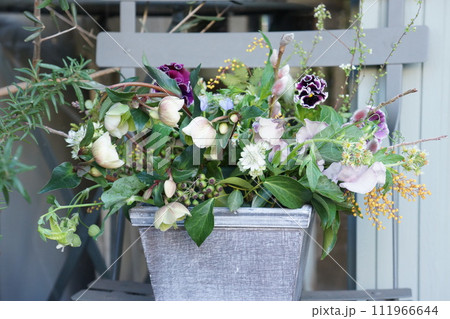 クリスマスローズを引き立てたフラワーアレンジメント 111966644