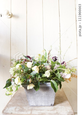 クリスマスローズを引き立てたフラワーアレンジメント クリスマスローズを引き立てたフラワーアレンジメント 111966663