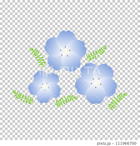 ネモフィラ ネモフィラ 111966700