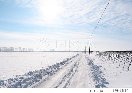 銀世界への雪道 111967614