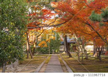 大徳寺塔頭寺院　竜翔寺　楼門から紅葉した庭園が見える 111967718