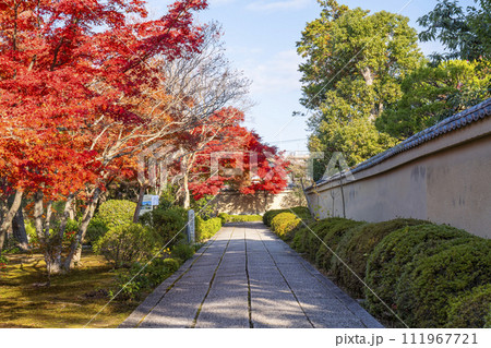 秋の京都　大徳寺芳春院・如意庵へ続く参道 111967721