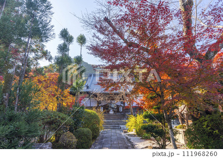 京都嵯峨　妙祐久遠寺　境内の美しい紅葉 111968260