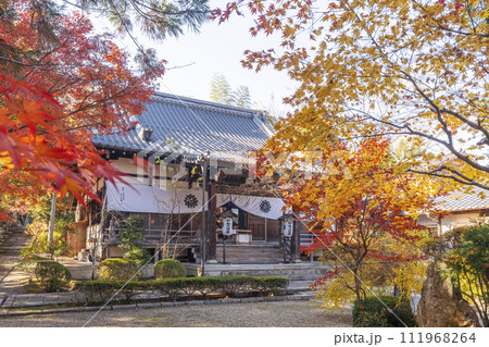 京都嵯峨　妙祐久遠寺　境内の美しい紅葉 111968264