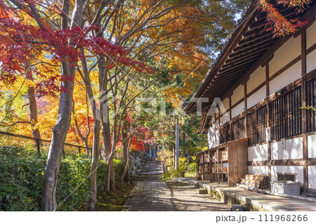 京都嵯峨　妙祐久遠寺　境内の美しい紅葉 111968266
