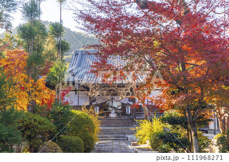 京都嵯峨 妙祐久遠寺 境内の美しい紅葉 京都嵯峨 妙祐久遠寺 境内の美しい紅葉 111968271