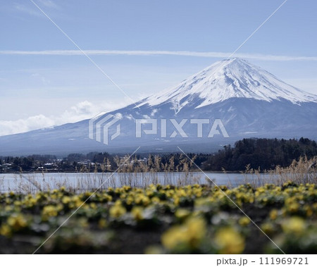 河口湖湖畔美しい富士山と花景色　世界遺産　横長構図 111969721