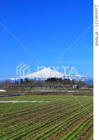 鳥海山と田園風景 111969977