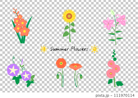 Summer flower illustration set Summer flower illustration set 111970114