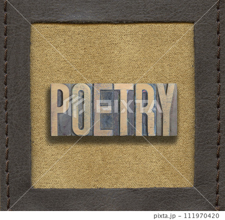 POETRY word framed 111970420