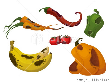 Rotten food with rot and mold. 111971437