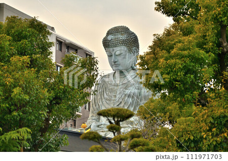 住宅街の中の「兵庫大仏」天台宗 天台宗 能福寺 111971703