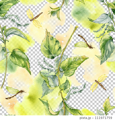 Nettle herbal plant with dragonfly seamless pattern isolated on white. Illustration of stinging plant on watercolor backdrop hand drawn. Print of useful herb. Design for textile, package, wallpaper 111971759