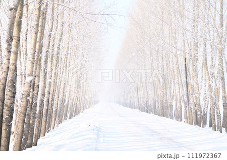 霧氷と雪原 111972367