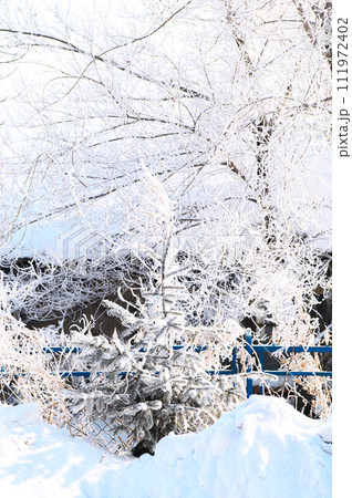 霧氷と雪原 霧氷と雪原 111972402