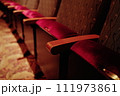 映画館やコンサートの座席 111973861