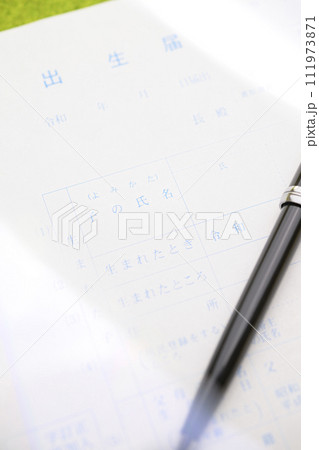 出生届(子の氏名の文字にフォーカス) 出生届(子の氏名の文字にフォーカス) 111973871