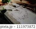 本のインテリア 111973872