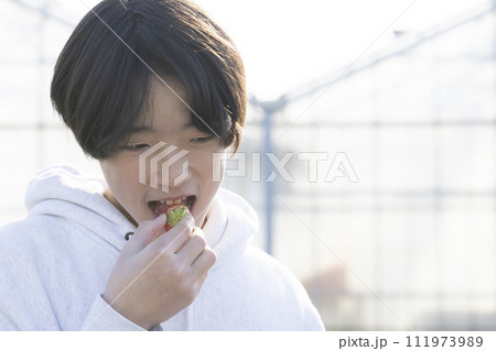 いちごを食べる子供 いちごを食べる子供 111973989
