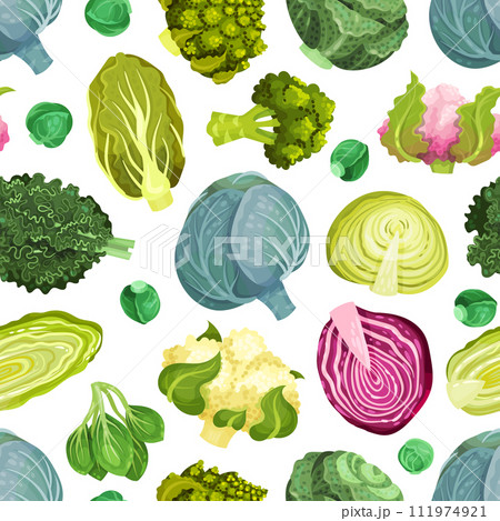 Cabbage Vegetable Seamless Pattern Design with Crop Vector Template Cabbage Vegetable Seamless Pattern Design with Crop Vector Template 111974921