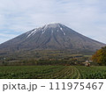 羊蹄山を見上げる 111975467