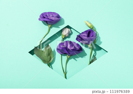 Beautiful, fresh flowers on a blue background. Beautiful, fresh flowers on a blue background. 111976389