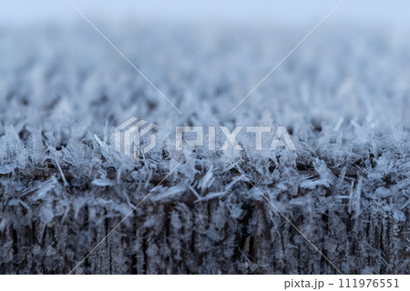 雪の結晶 雪の結晶 111976551