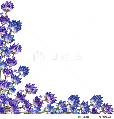 A frame with lavender, a beautiful picturesque purple, fragrant flower. Hand-drawn watercolor illustration. Highlight it. An element for the design of packaging, postcards and labels, banners, flyers. A frame with lavender, a beautiful picturesque purple, fragrant flower. Hand-drawn watercolor illustration. Highlight it. An element for the design of packaging, postcards and labels, banners, flyers. 111976938