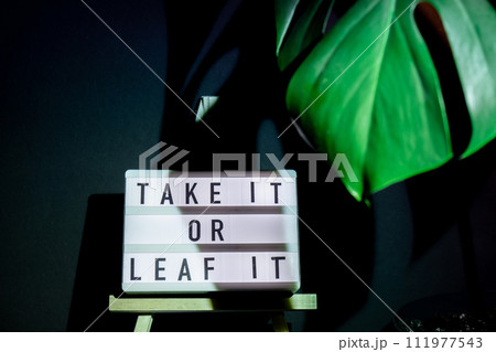 Funny joke idea inscription saying TAKE IT OR LEAF leave IT Monstera silhouette leaf in dark background and light from sunset aesthetic lamp. Projector yellow light golden hour effect. House plants Funny joke idea inscription saying TAKE IT OR LEAF leave IT Monstera silhouette leaf in dark background and light from sunset aesthetic lamp. Projector yellow light golden hour effect. House plants 111977543