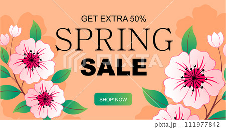 Spring time banner with sakura, botanical template on a peach bacground. Vector illustration Spring time banner with sakura, botanical template on a peach bacground. Vector illustration 111977842