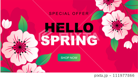 Pink banner for Spring time sale with sakura, botanical elements. Romantic vector illustration template for posters, cards, etc Pink banner for Spring time sale with sakura, botanical elements. Romantic vector illustration template for posters, cards, etc 111977866