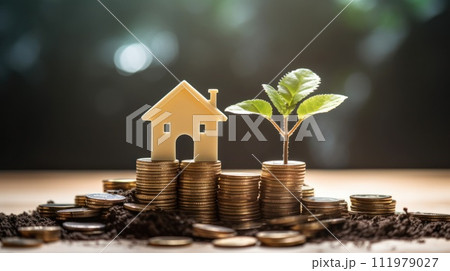 a house is growing from coins beside an investment 111979027