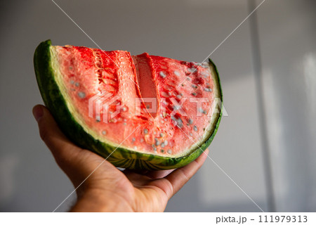 rotten watermelom in the man hand 111979313