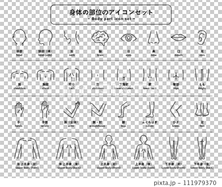 体(身体)の部位のアイコンセット パーツ 人体 ピクトグラム 健康 上半身 下半身 マッサージ 医療 体(身体)の部位のアイコンセット パーツ 人体 ピクトグラム 健康 上半身 下半身 マッサージ 医療 111979370