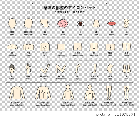 体（身体）の部位のアイコンセット　パーツ　人体　ピクトグラム　健康　上半身　下半身　マッサージ　医療 111979371