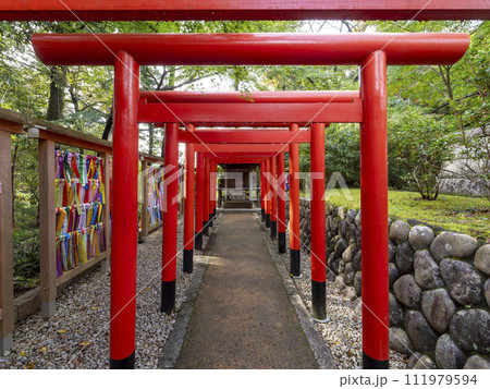 法多山尊永寺境内に建つ二葉神社の鳥居 法多山尊永寺境内に建つ二葉神社の鳥居 111979594