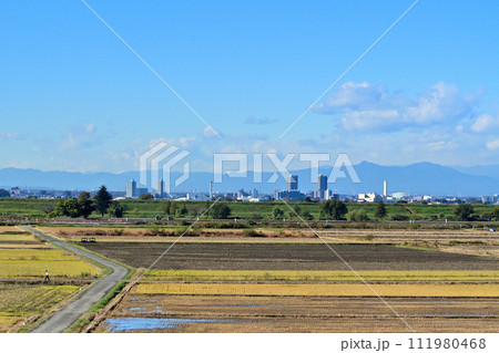 大久保浄水場前の土手から見たふじみ野駅前の高層マンション群 111980468