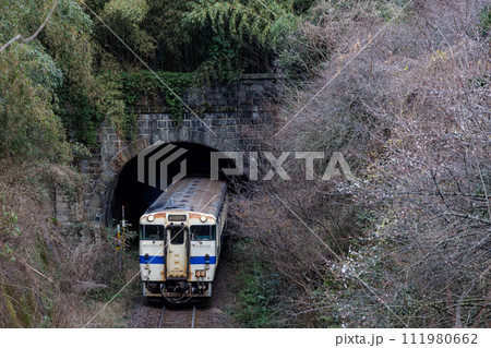 トンネルを飛び出すJR日田彦山線キハ47系気動車 111980662