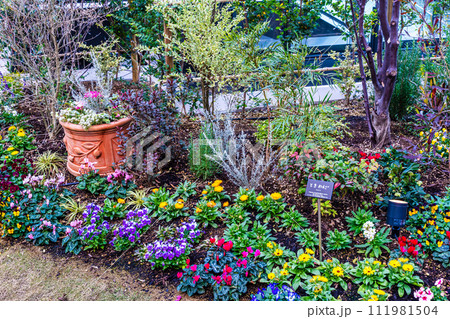 アミュプラザ長崎新館 屋上庭園 夕景 【長崎市】 アミュプラザ長崎新館 屋上庭園 夕景 【長崎市】 111981504
