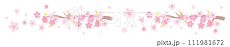 桜の枝のラインイラスト 111981672
