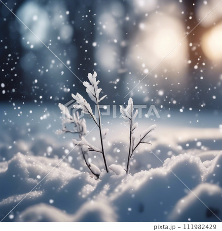 桜を見上げる女子高生 111982429