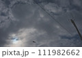 曇天から除く太陽と鷹と電柱 111982662