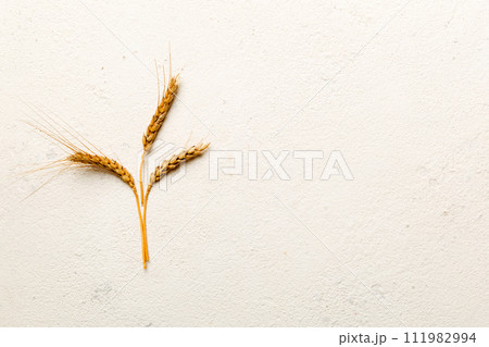 Sheaf of wheat ears close up and seeds on colored background. Natural cereal plant, harvest time concept. Top view, flat lay with copy space. world wheat crisis 111982994