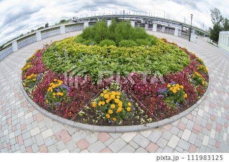 Round flower bed in the city. Flowers on the asphalt background. Landscaping of the street. 111983125