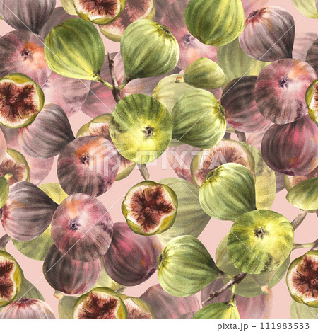 Ripe, juicy fruits of green, purple figs, whole fruits seamless pattern. Plant clipart for fabric, label, wallpaper, packaging textile. Hand drawn watercolor illustration. Isolated coloured background Ripe, juicy fruits of green, purple figs, whole fruits seamless pattern. Plant clipart for fabric, label, wallpaper, packaging textile. Hand drawn watercolor illustration. Isolated coloured background 111983533
