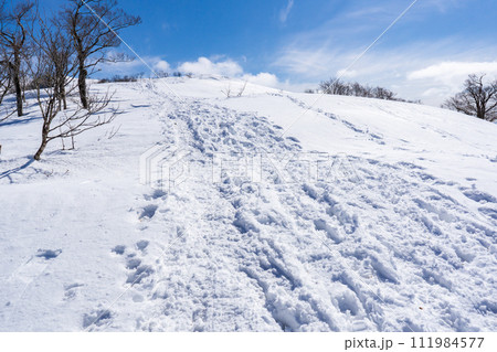 兵庫県最高峰の氷ノ山雪山登山　三ノ丸への雪原 111984577
