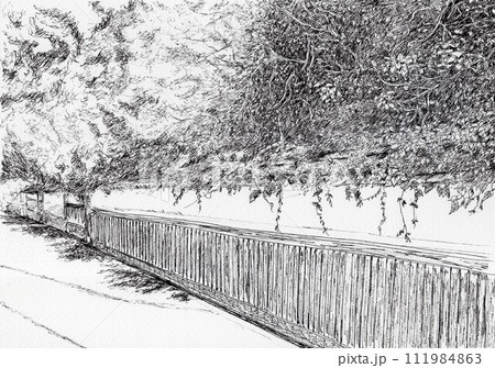 白壁のある通り 111984863