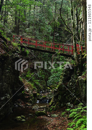 森の中の赤い橋 111985548